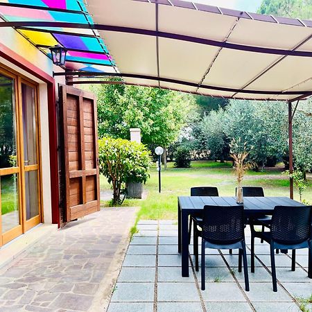 Agriturismo Salcino โกรเซตโต ภายนอก รูปภาพ