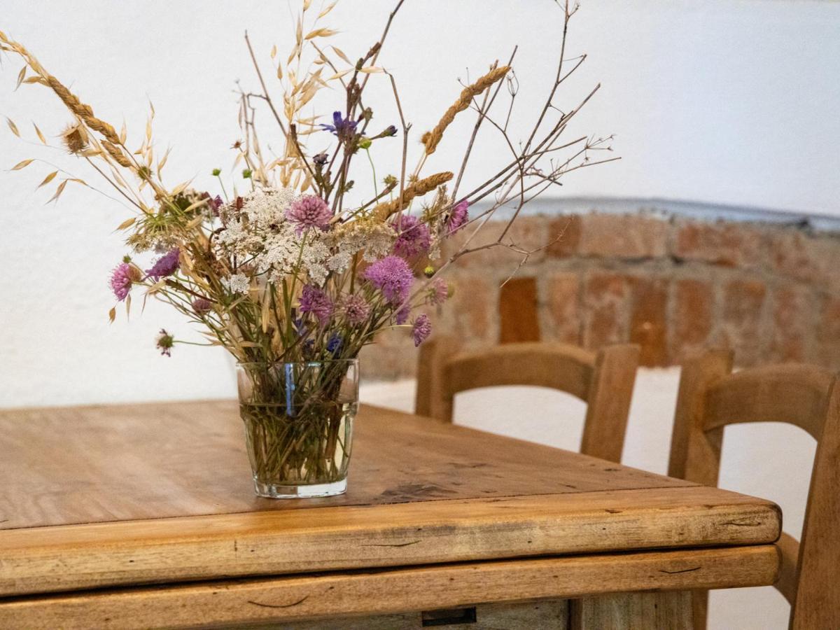 Agriturismo Salcino โกรเซตโต ภายนอก รูปภาพ