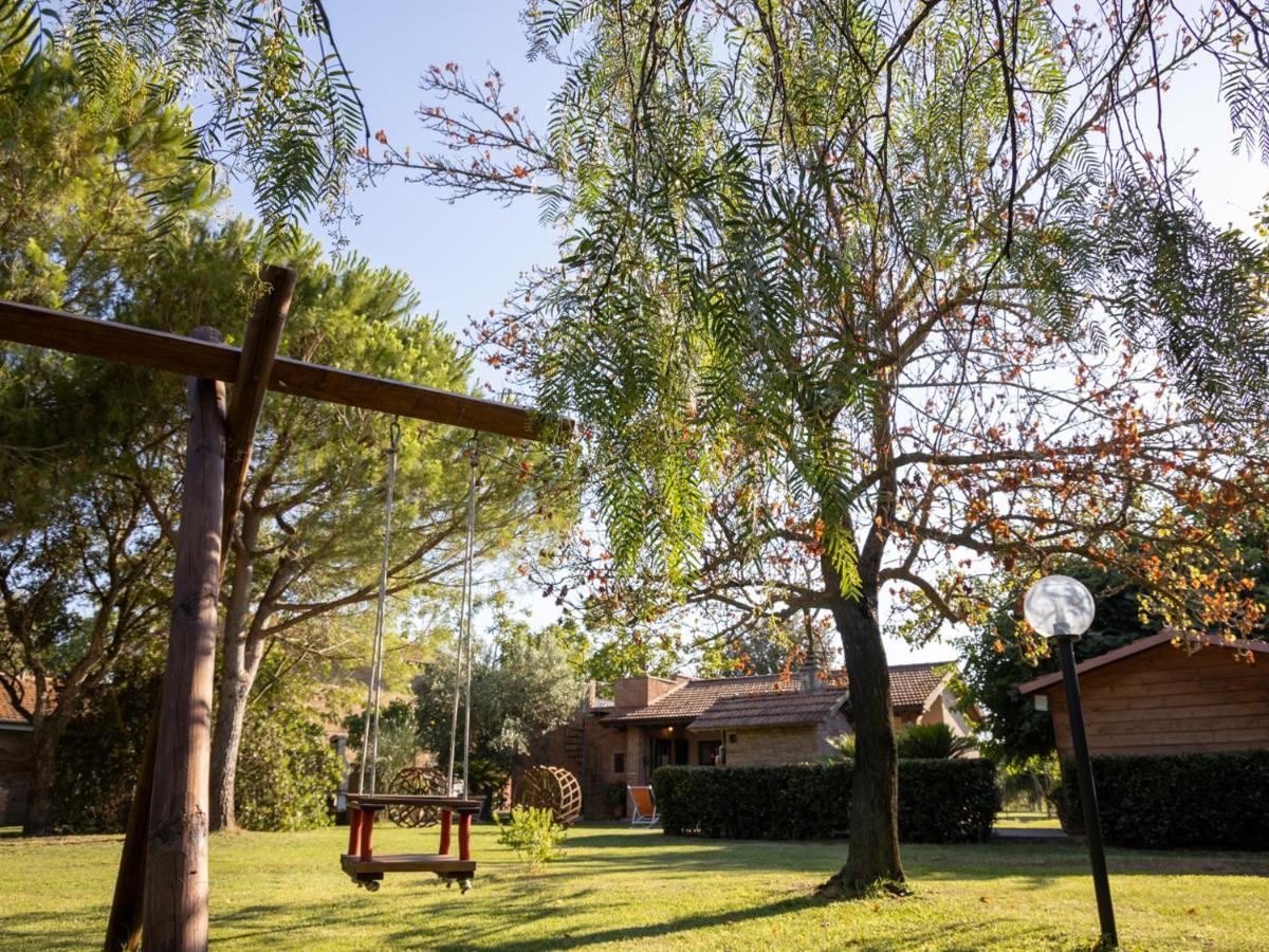 Agriturismo Salcino โกรเซตโต ภายนอก รูปภาพ