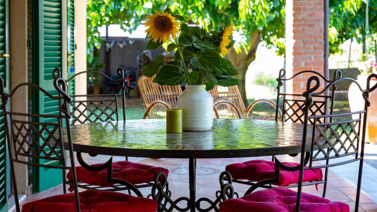 Agriturismo Salcino โกรเซตโต ภายนอก รูปภาพ