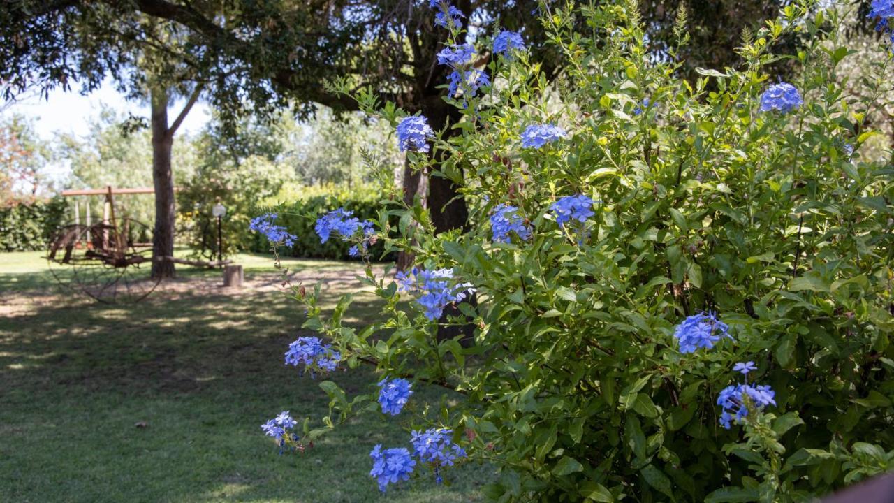 Agriturismo Salcino โกรเซตโต ภายนอก รูปภาพ