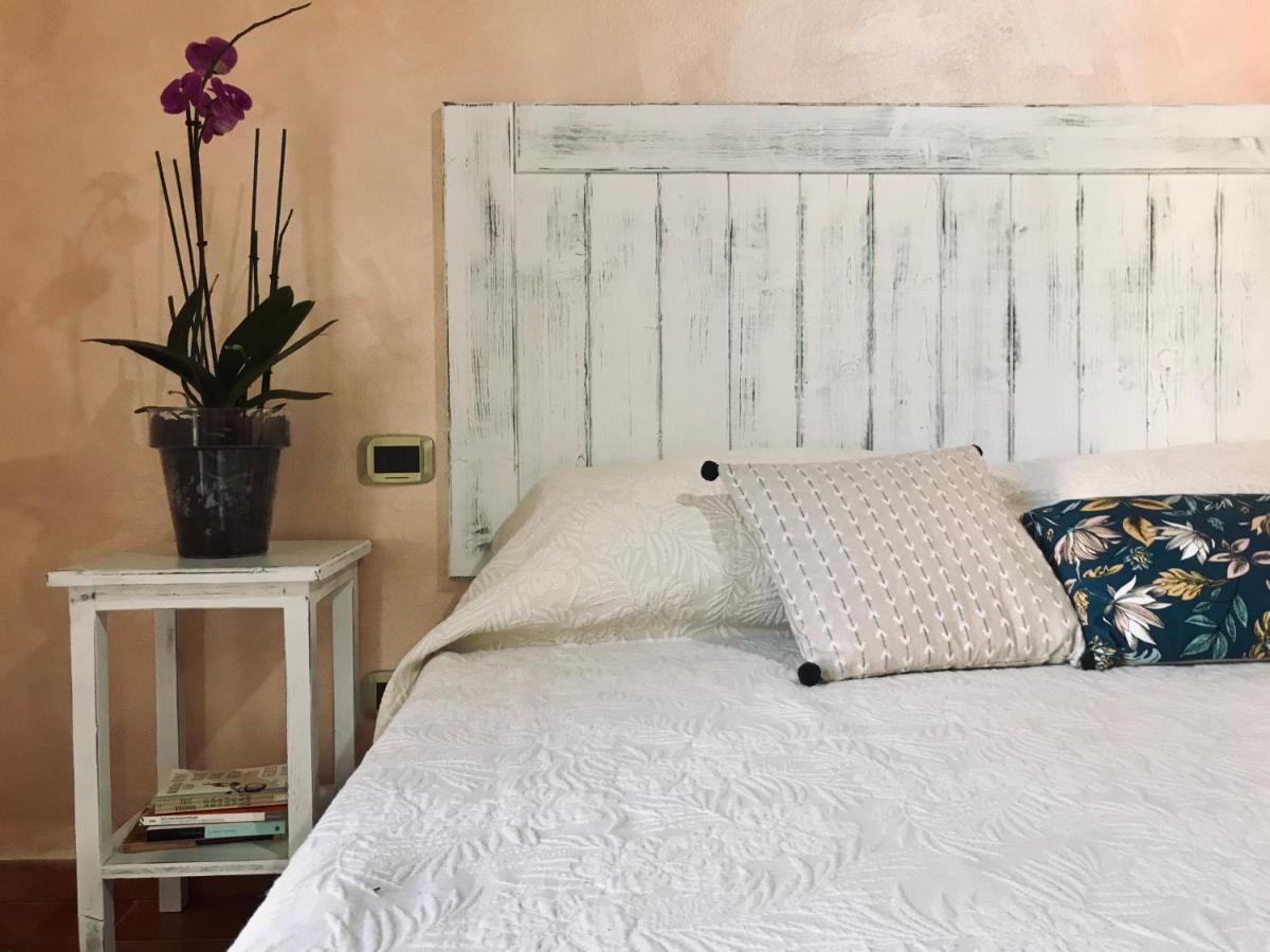 Agriturismo Salcino โกรเซตโต ภายนอก รูปภาพ