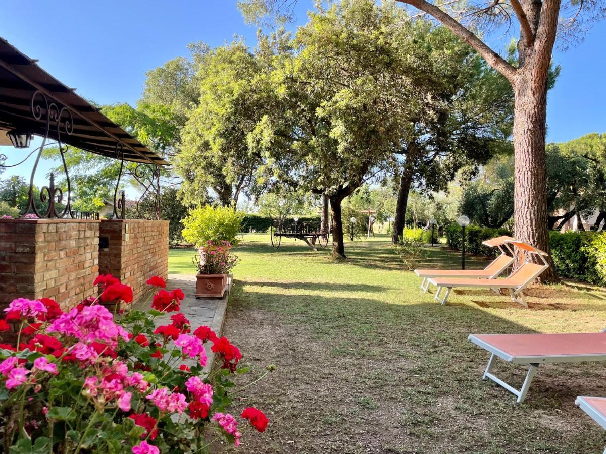 Agriturismo Salcino โกรเซตโต ภายนอก รูปภาพ