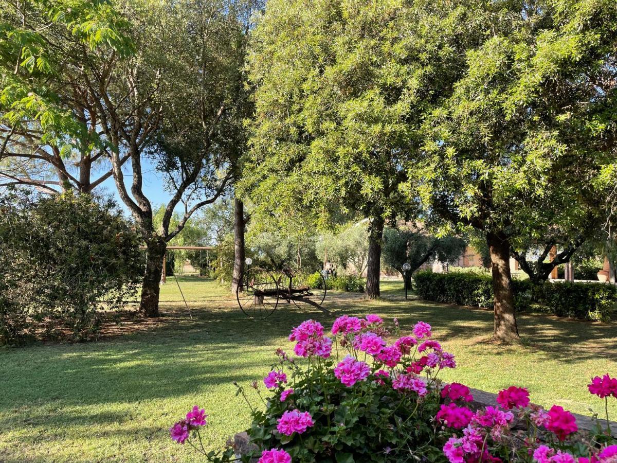 Agriturismo Salcino โกรเซตโต ภายนอก รูปภาพ