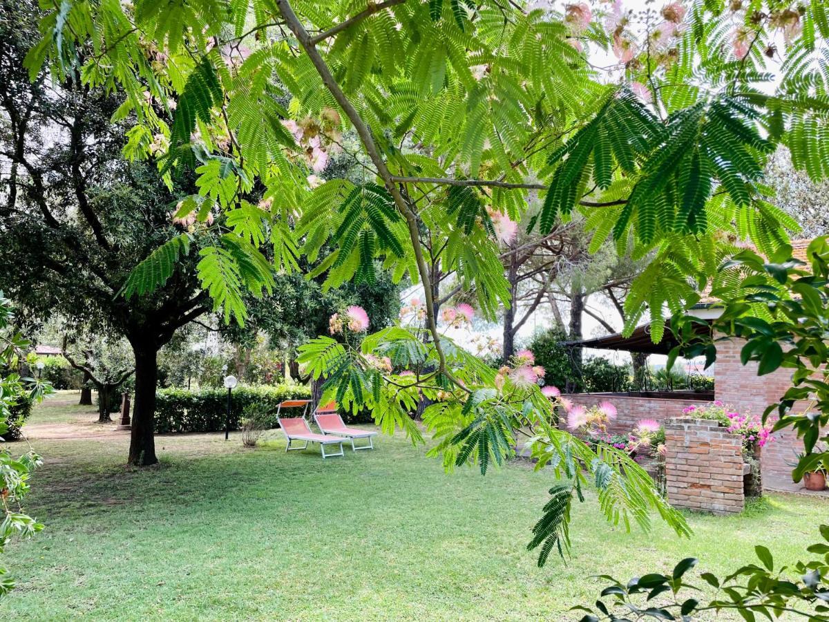 Agriturismo Salcino โกรเซตโต ภายนอก รูปภาพ