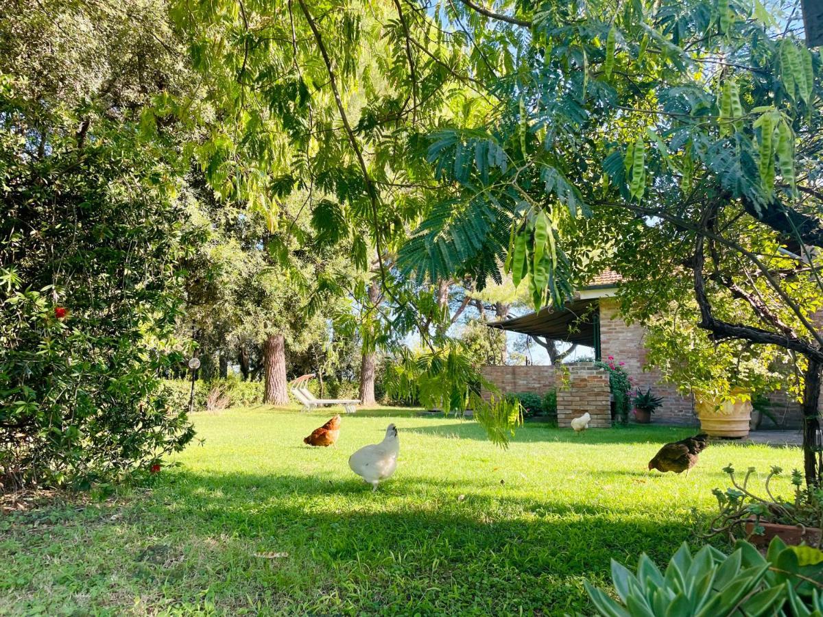 Agriturismo Salcino โกรเซตโต ภายนอก รูปภาพ