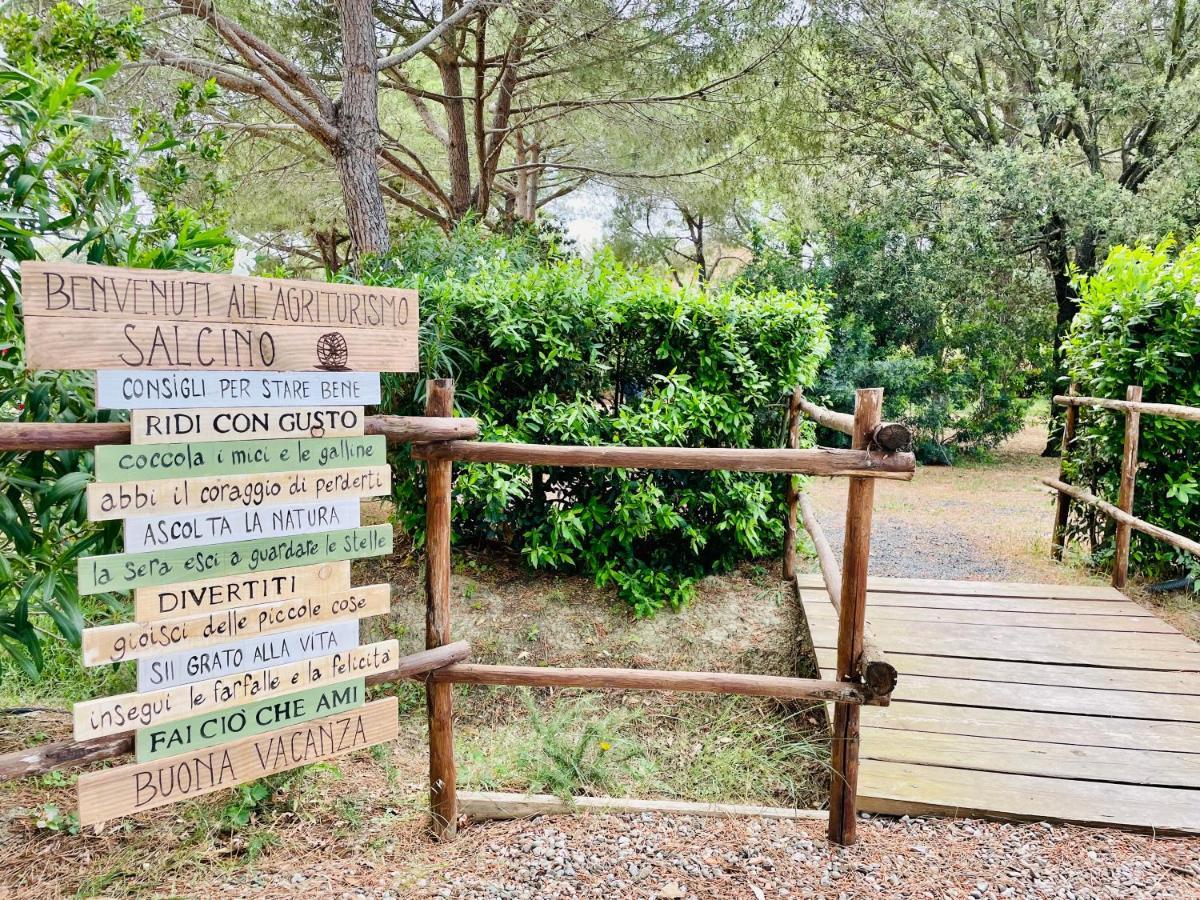 Agriturismo Salcino โกรเซตโต ภายนอก รูปภาพ