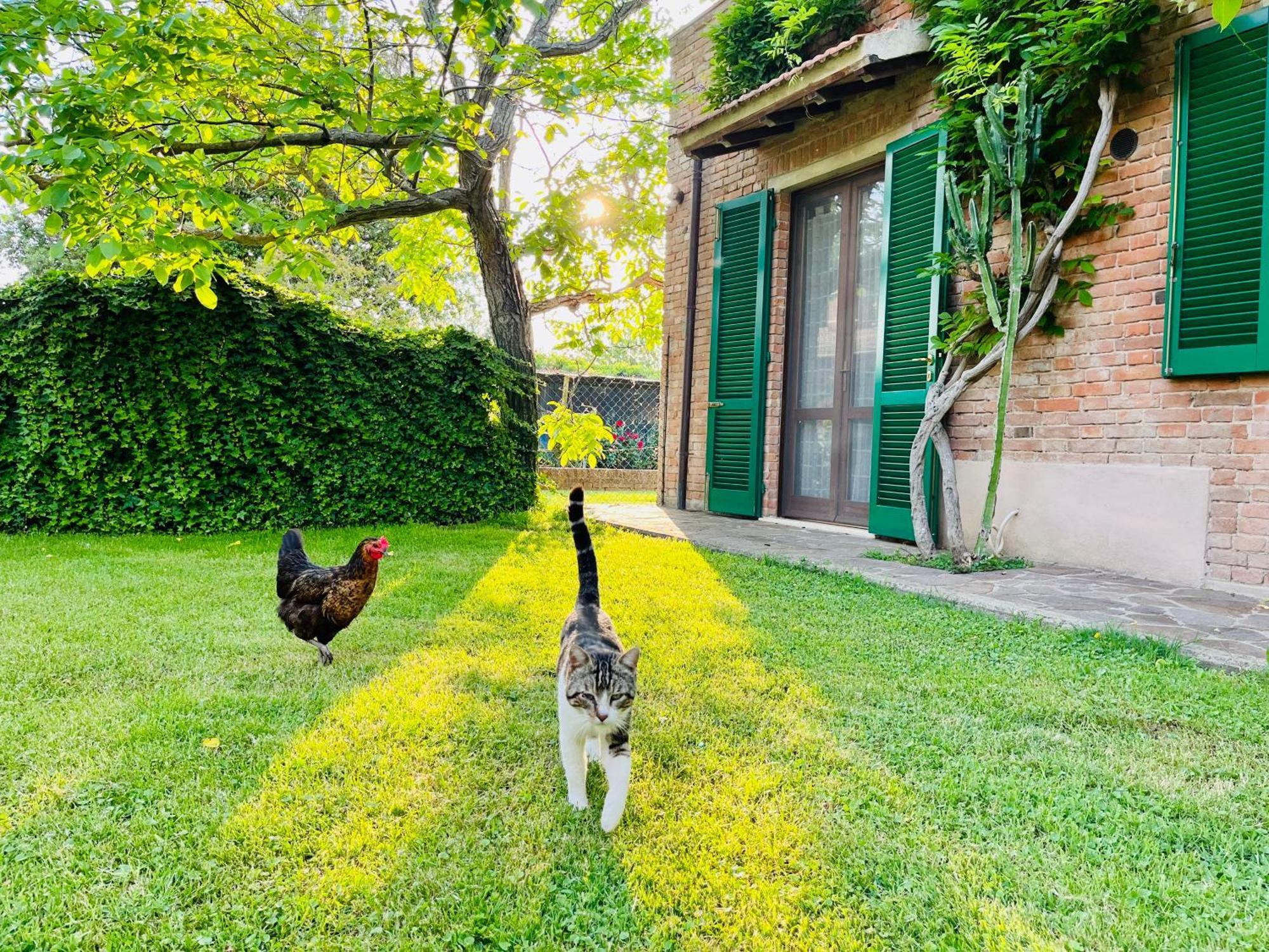 Agriturismo Salcino โกรเซตโต ภายนอก รูปภาพ