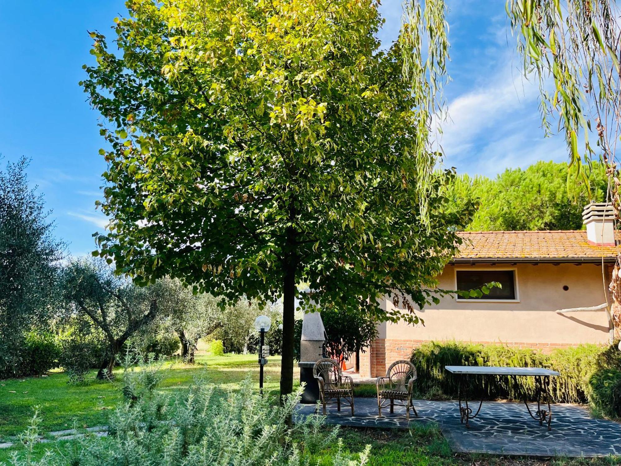 Agriturismo Salcino โกรเซตโต ภายนอก รูปภาพ