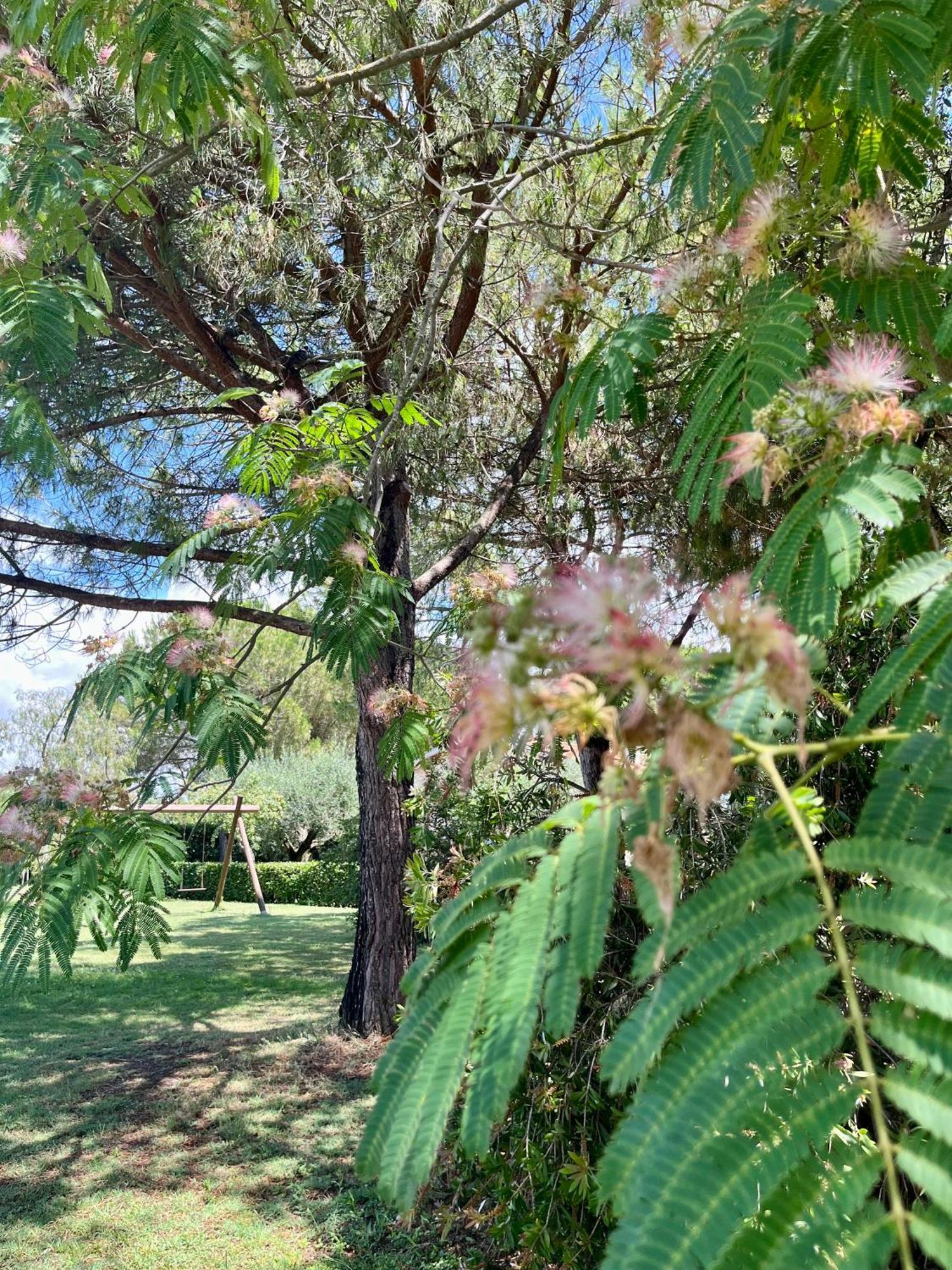 Agriturismo Salcino โกรเซตโต ภายนอก รูปภาพ