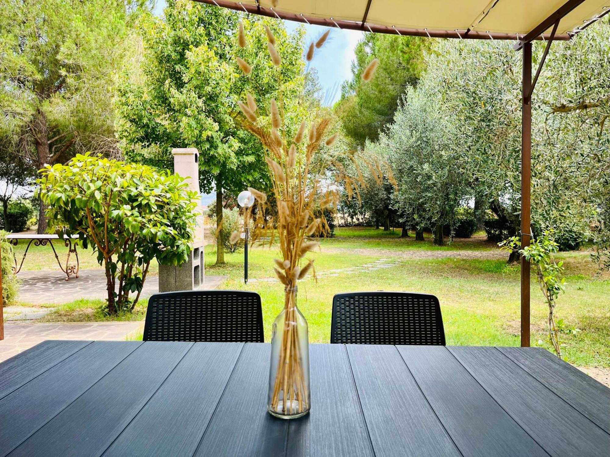 Agriturismo Salcino โกรเซตโต ภายนอก รูปภาพ